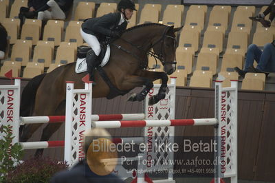 Dansk Rideforbunds Championats finaler 2018
Dansk Rideforbunds Championats finaler 2018 spring 5års
Nøgleord: hait ask;karen  møller rohde