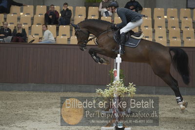 Dansk Rideforbunds Championats finaler 2018
Dansk Rideforbunds Championats finaler 2018 spring 5års
Nøgleord: fanth's focus;martin mose knudsen