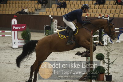 Dansk Rideforbunds Championats finaler 2018 - spring
Dansk Rideforbunds Championats finaler 2018 4års
Nøgleord: chique ps z;christian petersen