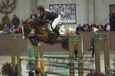 Dansk Rideforbunds Championats finaler 2018 - spring
Dansk Rideforbunds Championats finaler 2018 4års
Nøgleord: fjordvangs la santa;alberte bidstrup