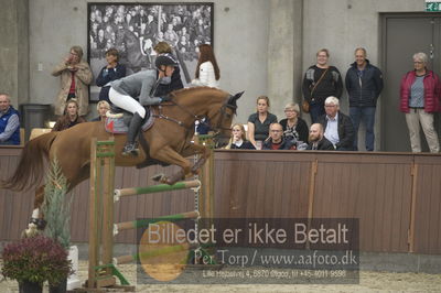 Dansk Rideforbunds Championats finaler 2018 spring
Dansk Rideforbunds Championats finaler 2018
5 års
Nøgleord: diamant de revel II;camilla fliedner ernst