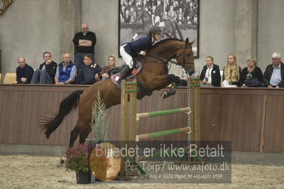 Dansk Rideforbunds Championats finaler 2018 spring
Dansk Rideforbunds Championats finaler 2018
5 års
Nøgleord: mundbjergs sandrino boy;ida mundberg hansen