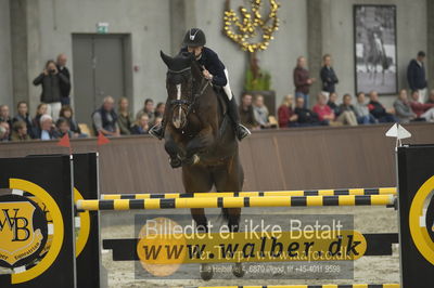 Dansk Rideforbunds Championats finaler 2018 spring
Dansk Rideforbunds Championats finaler 2018
6 års
Nøgleord: syvhøjegårds fi fi;katrine højholt