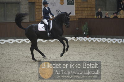 Dansk Rideforbunds Championats finaler 2018 dressur
Dansk Rideforbunds Championats finaler 2018
5 års præmie - 6års klassen
Nøgleord: fürstenflame;anne sofie aaen