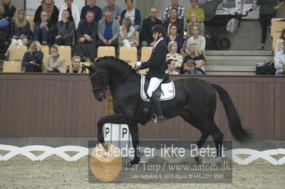 Dansk Rideforbunds Championats finaler 2018 dressur
Dansk Rideforbunds Championats finaler 2018
5 års præmie - 6års klassen
Nøgleord: andreas helgstrand;ferrari 134