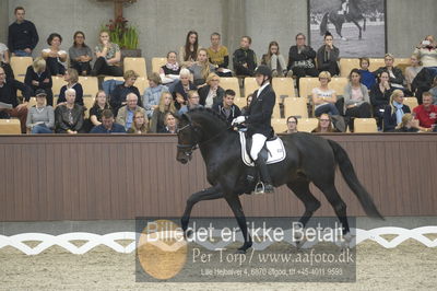 Dansk Rideforbunds Championats finaler 2018 dressur
Dansk Rideforbunds Championats finaler 2018
5 års præmie - 6års klassen
Nøgleord: andreas helgstrand;ferrari 134