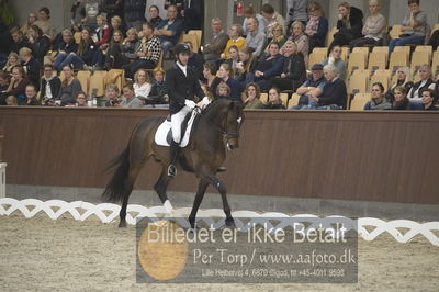 Dansk Rideforbunds Championats finaler 2018 dressur
Dansk Rideforbunds Championats finaler 2018
5 års præmie - 6års klassen
Nøgleord: lammehavens brother;henrik christensen