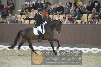 Dansk Rideforbunds Championats finaler 2018 dressur
Dansk Rideforbunds Championats finaler 2018
5 års præmie - 6års klassen
Nøgleord: lammehavens brother;henrik christensen