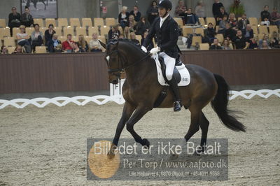 Dansk Rideforbunds Championats finaler 2018 dressur
Dansk Rideforbunds Championats finaler 2018
5 års præmie - 6års klassen
Nøgleord: lammehavens brother;henrik christensen