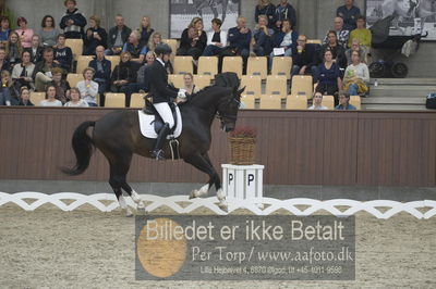 Dansk Rideforbunds Championats finaler 2018 dressur
Dansk Rideforbunds Championats finaler 2018
5 års præmie - 6års klassen
Nøgleord: grønskovlund's tower;rikke damgaard thomsen