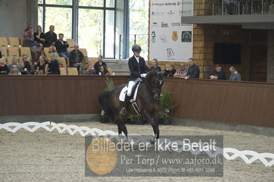 Dansk Rideforbunds Championats finaler 2018 dressur
Dansk Rideforbunds Championats finaler 2018
5 års præmie - 6års klassen
Nøgleord: grønskovlund's tower;rikke damgaard thomsen