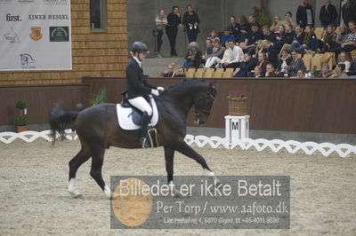 Dansk Rideforbunds Championats finaler 2018 dressur
Dansk Rideforbunds Championats finaler 2018
5 års præmie - 6års klassen
Nøgleord: grønskovlund's tower;rikke damgaard thomsen