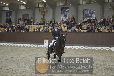 Dansk Rideforbunds Championats finaler 2018 dressur
Dansk Rideforbunds Championats finaler 2018
5 års præmie - 6års klassen
Nøgleord: grønskovlund's tower;rikke damgaard thomsen