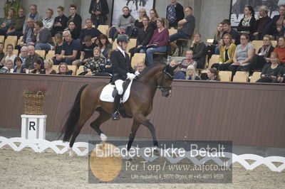 Dansk Rideforbunds Championats finaler 2018 dressur
Dansk Rideforbunds Championats finaler 2018
5 års præmie - 6års klassen
Nøgleord: jan møller Christensen;hesselhøj donkey boy