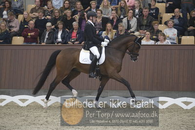 Dansk Rideforbunds Championats finaler 2018 dressur
Dansk Rideforbunds Championats finaler 2018
5 års præmie - 6års klassen
Nøgleord: jan møller Christensen;hesselhøj donkey boy