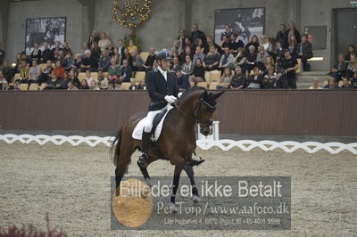 Dansk Rideforbunds Championats finaler 2018 dressur
Dansk Rideforbunds Championats finaler 2018
5 års præmie - 6års klassen
Nøgleord: jan møller Christensen;hesselhøj donkey boy