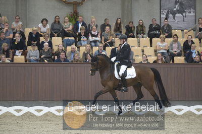 Dansk Rideforbunds Championats finaler 2018 dressur
Dansk Rideforbunds Championats finaler 2018
5 års præmie - 6års klassen
Nøgleord: jan møller Christensen;hesselhøj donkey boy