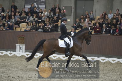 Dansk Rideforbunds Championats finaler 2018 dressur
Dansk Rideforbunds Championats finaler 2018
5 års præmie - 6års klassen
Nøgleord: jan møller Christensen;hesselhøj donkey boy