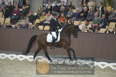 Dansk Rideforbunds Championats finaler 2018 dressur
Dansk Rideforbunds Championats finaler 2018
5 års præmie - 6års klassen
Nøgleord: jan møller Christensen;hesselhøj donkey boy