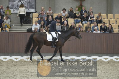 Dansk Rideforbunds Championats finaler 2018 dressur
Dansk Rideforbunds Championats finaler 2018
5 års præmie - 6års klassen
Nøgleord: manuel springhetti;adoro 8