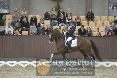 Dansk Rideforbunds Championats finaler 2018 dressur
Dansk Rideforbunds Championats finaler 2018
5 års præmie - 6års klassen
Nøgleord: emma ahlberg;vestervangs  garson