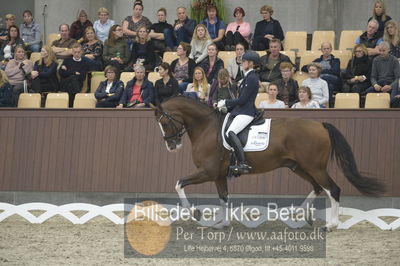 Dansk Rideforbunds Championats finaler 2018 dressur
Dansk Rideforbunds Championats finaler 2018
5 års præmie - 6års klassen
Nøgleord: emma ahlberg;vestervangs  garson