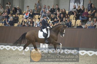 Dansk Rideforbunds Championats finaler 2018 dressur
Dansk Rideforbunds Championats finaler 2018
5 års præmie - 6års klassen
Nøgleord: emma ahlberg;vestervangs  garson