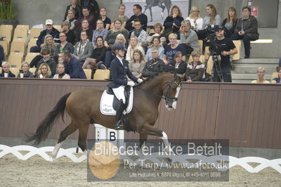 Dansk Rideforbunds Championats finaler 2018 dressur
Dansk Rideforbunds Championats finaler 2018
5 års præmie - 6års klassen
Nøgleord: emma ahlberg;vestervangs  garson