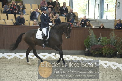 Dansk Rideforbunds Championats finaler 2018 dressur
Dansk Rideforbunds Championats finaler 2018
5 års præmie - 6års klassen
Nøgleord: nanna skodborg merrald;lykkesholms duel