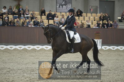 Dansk Rideforbunds Championats finaler 2018 dressur
Dansk Rideforbunds Championats finaler 2018
5 års præmie - 6års klassen
Nøgleord: nanna skodborg merrald;lykkesholms duel