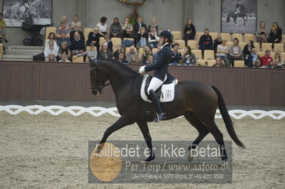 Dansk Rideforbunds Championats finaler 2018 dressur
Dansk Rideforbunds Championats finaler 2018
5 års præmie - 6års klassen
Nøgleord: nanna skodborg merrald;lykkesholms duel