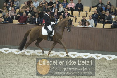 Dansk Rideforbunds Championats finaler 2018 dressur
Dansk Rideforbunds Championats finaler 2018
5 års præmie - 6års klassen
Nøgleord: severo jurado lopez;d'avie