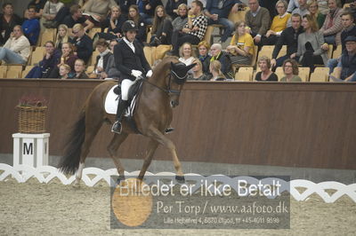 Dansk Rideforbunds Championats finaler 2018 dressur
Dansk Rideforbunds Championats finaler 2018
5 års præmie - 6års klassen
Nøgleord: severo jurado lopez;d'avie