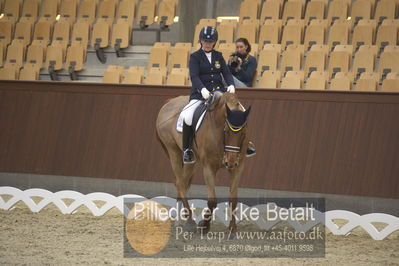 Blue Hors Para Dressur 2018
Billeder fra stævnet
Nøgleord: louise etzner jacobseb;znardermillo