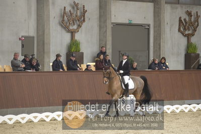 Blue Hors Para Dressur 2018
Billeder fra stævnet
Nøgleord: christine marcussen;fairlane