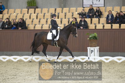 Blue Hors Para Dressur 2018
Billeder fra stævnet
Nøgleord: renee igelski;beyond dreams