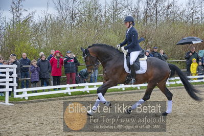 benthus 2018
Billeder fra åbenthus 2018
Nøgleord: Katrinelund;ferrari;cabrina geip