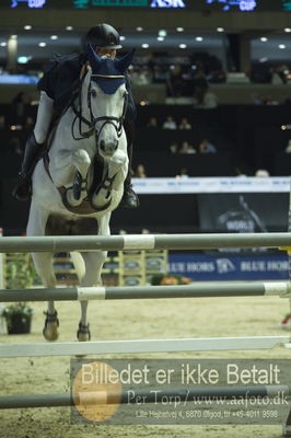 Showjumping
stutteri ask grandprix 150cm
Nøgleord: jens bachmann;carmen 252