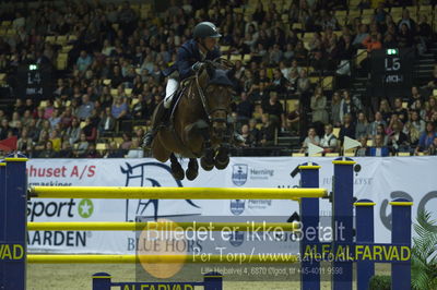 Showjumping
stutteri ask grandprix 150cm
Nøgleord: patrick stühlmeyer;chacgrano