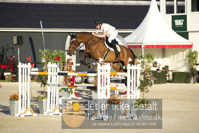 csio 3 big tour 145cm
Showjumping
Nøgleord: clem mcmahon;pacifico