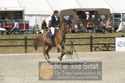 Csi1 two phases 135cm
Showjumping
Nøgleord: cecilie amdy juul;landlyst valian