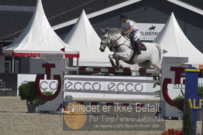 Csio3 two phsaes   140cm
Showjumping
Nøgleord: sandra enemark;conway