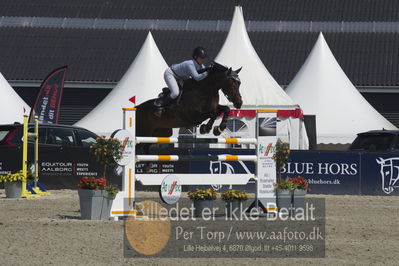 Csio3 two phsaes   140cm
Showjumping
Nøgleord: emily ward;wild rose