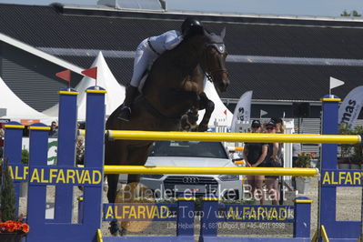 Csio3 two phsaes   140cm
Showjumping
Nøgleord: emily ward;wild rose