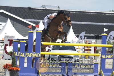 Csio3 two phsaes   140cm
Showjumping
Nøgleord: jeroen appelen;hickstead