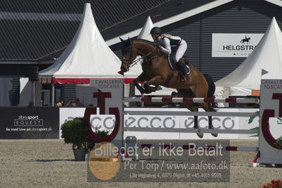 Csio3 two phsaes   140cm
Showjumping
Nøgleord: karina leichle;dante111