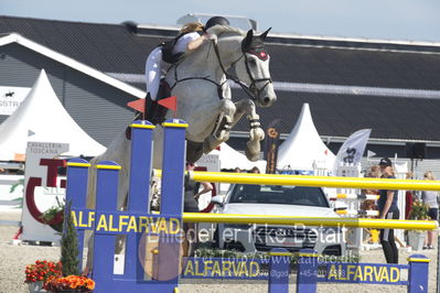 Csio3 two phsaes   140cm
Showjumping
Nøgleord: karoline vistesen graversen;sir  edward