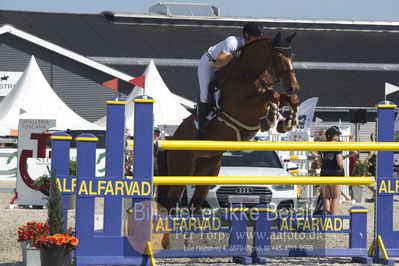 Csio3 two phsaes   140cm
Showjumping
Nøgleord: pernille tribler;alfina 3