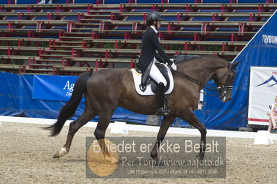 Dm - Uwm iagttagelse - Paradressur
fei 7års iagttagelses klasse til uwn
Nøgleord: carina cassøe krüth;red diamant