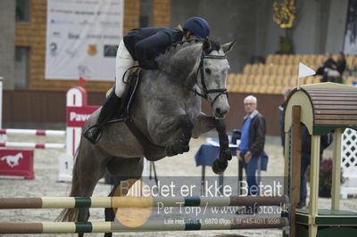 Dansk Rideforbunds Championats finaler 201
Dansk Rideforbunds Championats finaler 2018 - spring
Nøgleord: senjora;kristina kragh olesen